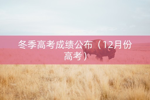 冬季高考成绩公布（12月份高考）