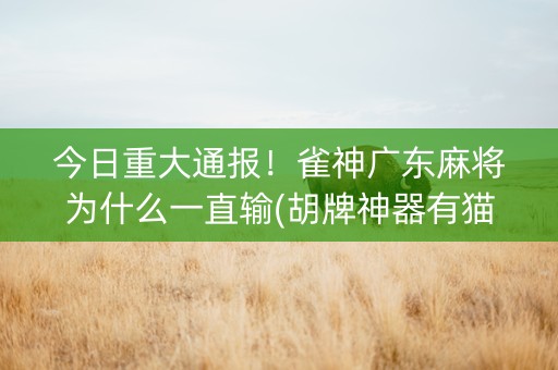今日重大通报！雀神广东麻将为什么一直输(胡牌神器有猫腻吗)