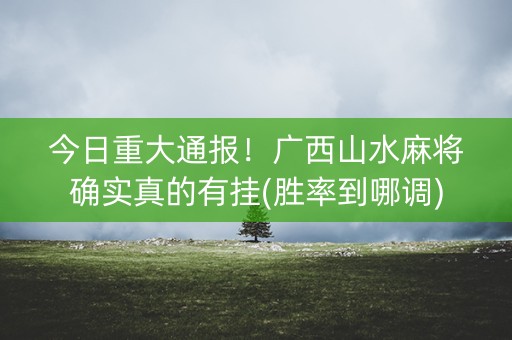 今日重大通报！广西山水麻将确实真的有挂(胜率到哪调)
