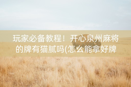 玩家必备教程！开心泉州麻将的牌有猫腻吗(怎么能拿好牌)
