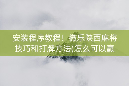 安装程序教程！微乐陕西麻将技巧和打牌方法(怎么可以赢)