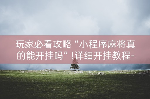 玩家必看攻略“小程序麻将真的能开挂吗”!详细开挂教程-抖音