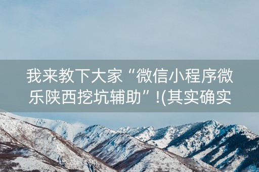 我来教下大家“微信小程序微乐陕西挖坑辅助”!(其实确实有挂)-抖音