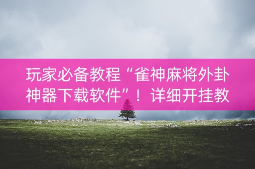 玩家必备教程“雀神麻将外卦神器下载软件”！详细开挂教程（确实真的有挂)-抖音
