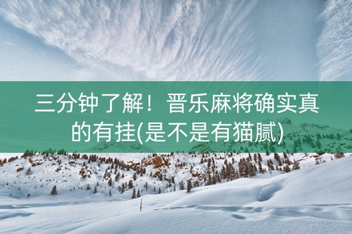 三分钟了解！晋乐麻将确实真的有挂(是不是有猫腻)