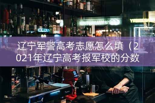 辽宁军警高考志愿怎么填（2021年辽宁高考报军校的分数）