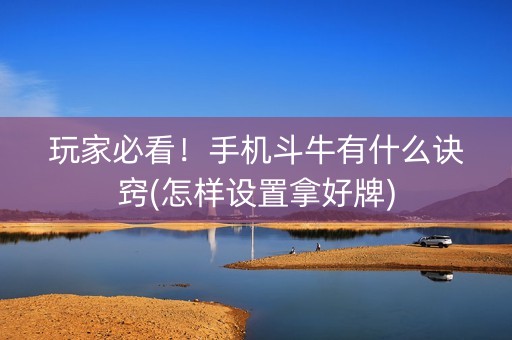 玩家必看！手机斗牛有什么诀窍(怎样设置拿好牌)