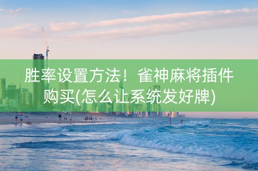 胜率设置方法！雀神麻将插件购买(怎么让系统发好牌)