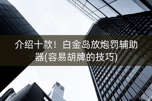 介绍十款！白金岛放炮罚辅助器(容易胡牌的技巧)