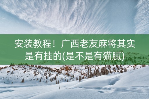 安装教程！广西老友麻将其实是有挂的(是不是有猫腻)