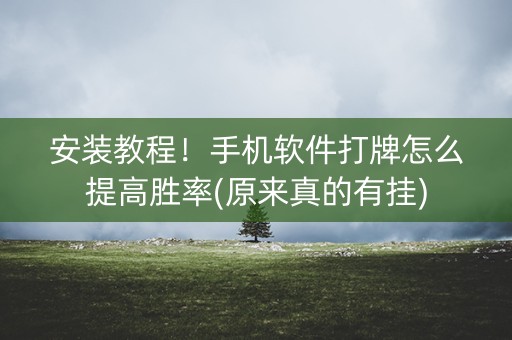 安装教程！手机软件打牌怎么提高胜率(原来真的有挂)