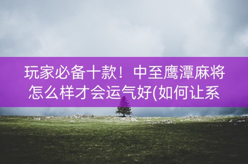 玩家必备十款！中至鹰潭麻将怎么样才会运气好(如何让系统发好牌)