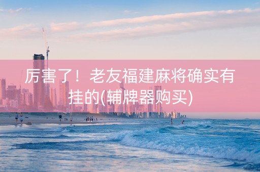 厉害了！老友福建麻将确实有挂的(辅牌器购买)
