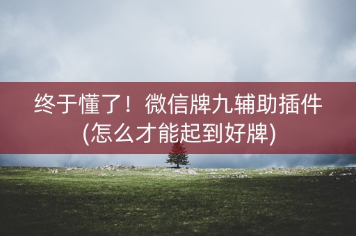 终于懂了！微信牌九辅助插件(怎么才能起到好牌)