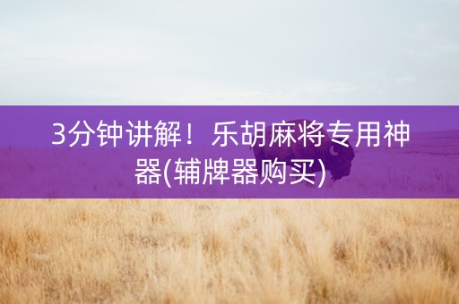 3分钟讲解！乐胡麻将专用神器(辅牌器购买)