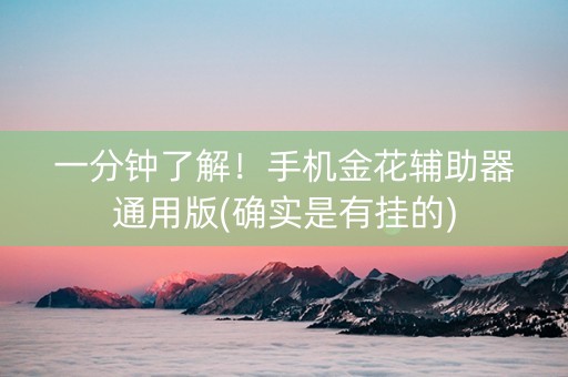 一分钟了解！手机金花辅助器通用版(确实是有挂的)