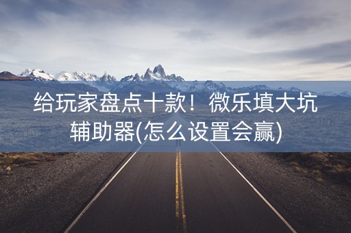 给玩家盘点十款！微乐填大坑辅助器(怎么设置会赢)