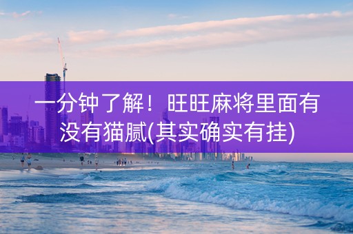 一分钟了解！旺旺麻将里面有没有猫腻(其实确实有挂)