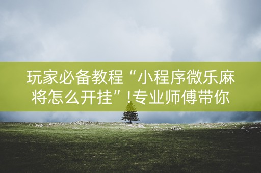 玩家必备教程“小程序微乐麻将怎么开挂”!专业师傅带你一起了解（详细教程）-抖音