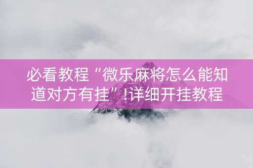 必看教程“微乐麻将怎么能知道对方有挂”!详细开挂教程-抖音