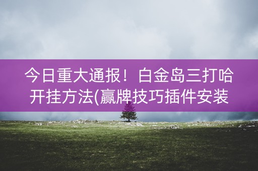 今日重大通报！白金岛三打哈开挂方法(赢牌技巧插件安装)