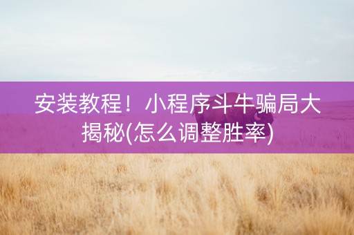 安装教程！小程序斗牛骗局大揭秘(怎么调整胜率)