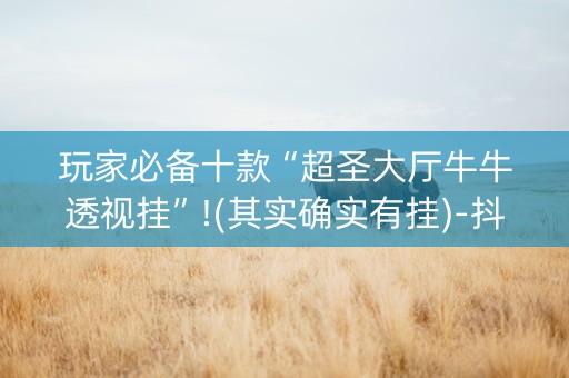 玩家必备十款“超圣大厅牛牛透视挂”!(其实确实有挂)-抖音