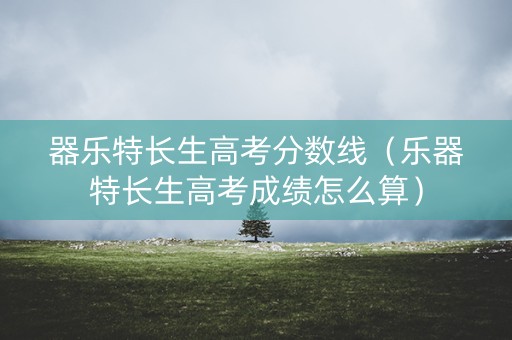 器乐特长生高考分数线（乐器特长生高考成绩怎么算）