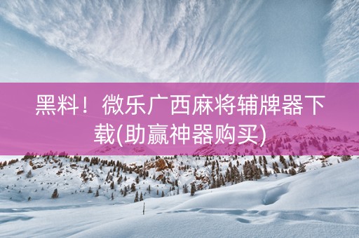 黑料！微乐广西麻将辅牌器下载(助赢神器购买)