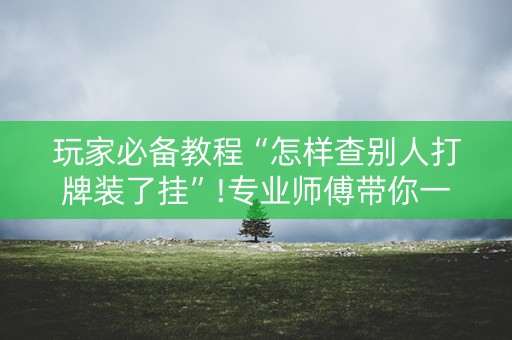 玩家必备教程“怎样查别人打牌装了挂”!专业师傅带你一起了解（详细教程）-抖音