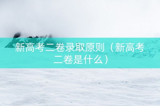 新高考二卷录取原则（新高考二卷是什么）