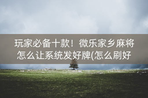 玩家必备十款！微乐家乡麻将怎么让系统发好牌(怎么刷好牌)