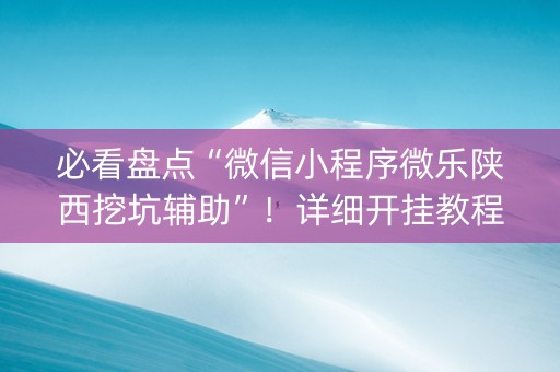 必看盘点“微信小程序微乐陕西挖坑辅助”！详细开挂教程（确实真的有挂)-抖音