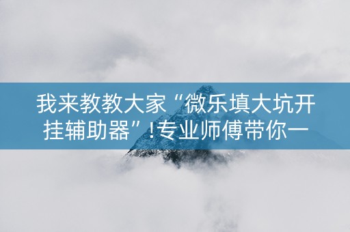 我来教教大家“微乐填大坑开挂辅助器”!专业师傅带你一起了解（详细教程）-抖音