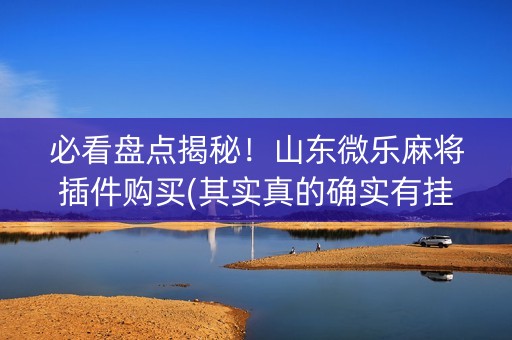 必看盘点揭秘！山东微乐麻将插件购买(其实真的确实有挂)