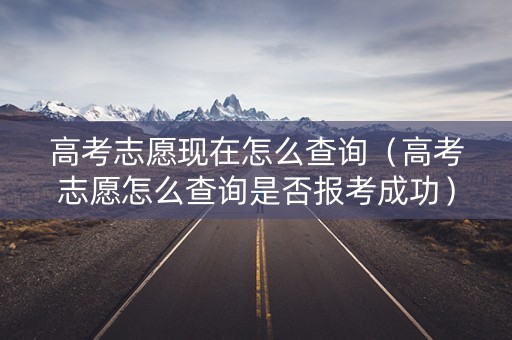 高考志愿现在怎么查询（高考志愿怎么查询是否报考成功）