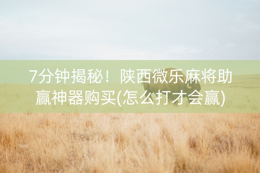 7分钟揭秘！陕西微乐麻将助赢神器购买(怎么打才会赢)