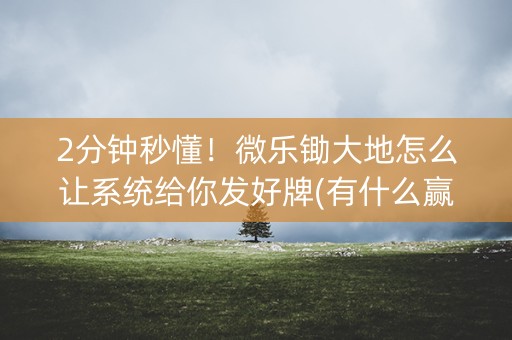 2分钟秒懂！微乐锄大地怎么让系统给你发好牌(有什么赢的技巧)