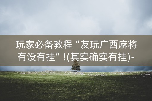 玩家必备教程“友玩广西麻将有没有挂”!(其实确实有挂)-抖音
