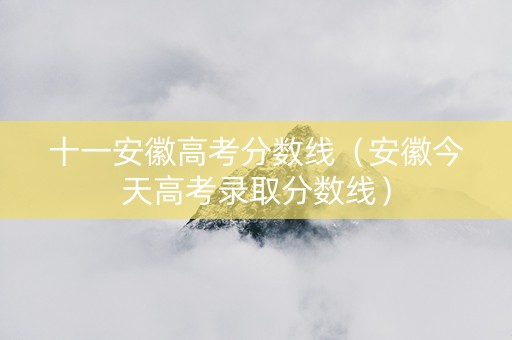 十一安徽高考分数线（安徽今天高考录取分数线）