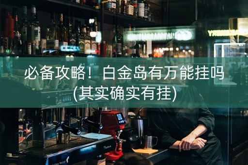 必备攻略！白金岛有万能挂吗(其实确实有挂)