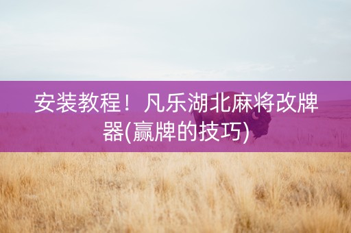 安装教程！凡乐湖北麻将改牌器(赢牌的技巧)