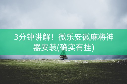 3分钟讲解！微乐安徽麻将神器安装(确实有挂)