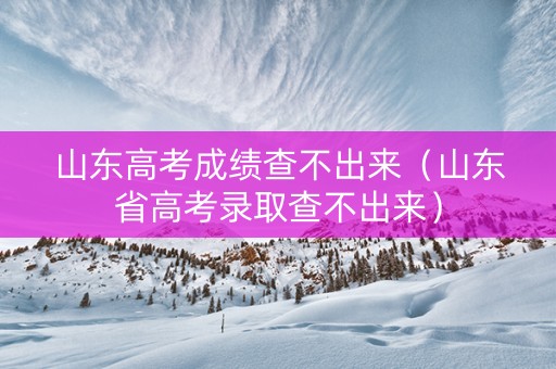 山东高考成绩查不出来（山东省高考录取查不出来）