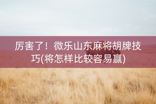 厉害了！微乐山东麻将胡牌技巧(将怎样比较容易赢)