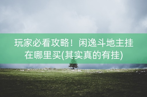 玩家必看攻略！闲逸斗地主挂在哪里买(其实真的有挂)