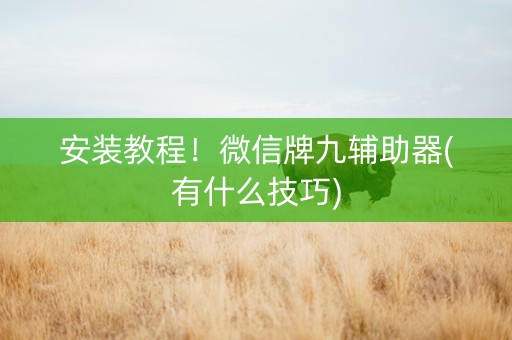 安装教程！微信牌九辅助器(有什么技巧)