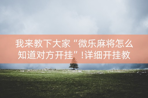 我来教下大家“微乐麻将怎么知道对方开挂”!详细开挂教程-抖音