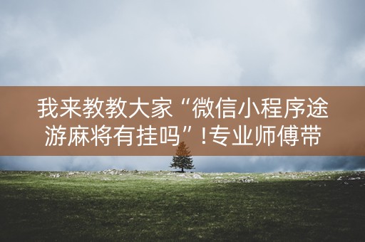 我来教教大家“微信小程序途游麻将有挂吗”!专业师傅带你一起了解（详细教程）-抖音