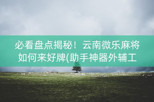 必看盘点揭秘！云南微乐麻将如何来好牌(助手神器外辅工具)